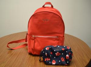 A backpack and small bag for Power of the Purse