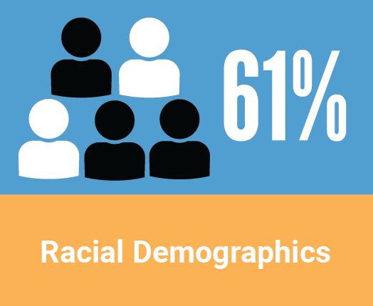 Education in Racine County - Racial Demographics