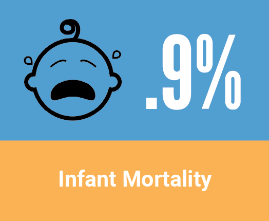 Health in Racine County - Infant Mortality