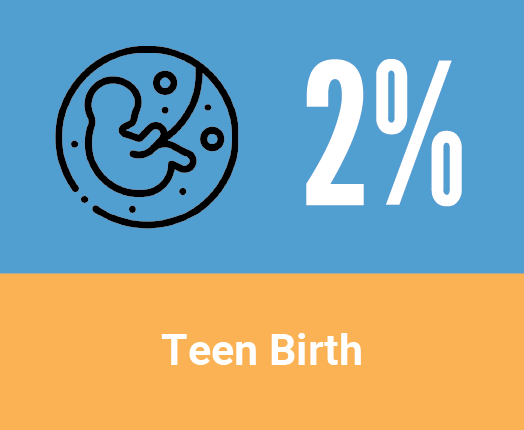 Health in Racine County - Teen Birth