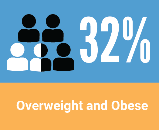 Health in Racine County - Overweight and Obese